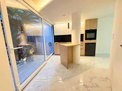 Charmant appartement rénové avec terrasses