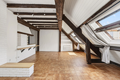 Dernier étage- 2/3 pièce(s) -50 m2 Carrez (64.54 m2 au sol)