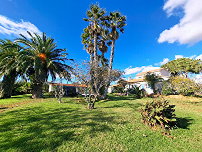 Perpignan SUD Villa 4 faces de Type 5 sur 4000m2 de terrain