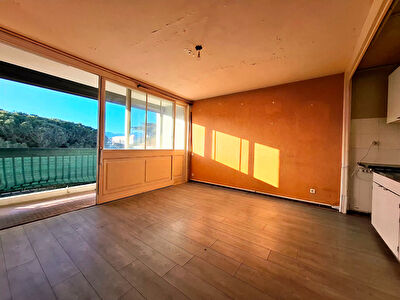 Saint Cyprien Plage T2 de 41m2 avec balcon plein SUD et Parking