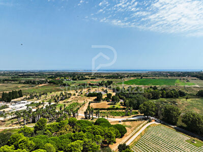 Propriété agricole de 19000m2 sur Saint Cyprien