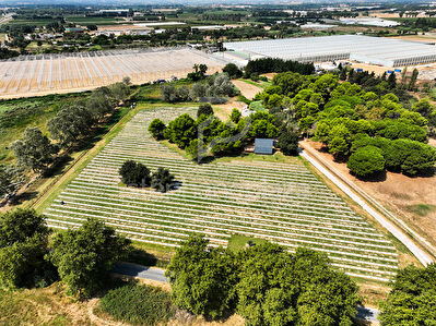 Propriété agricole de 19000m2 sur Saint Cyprien