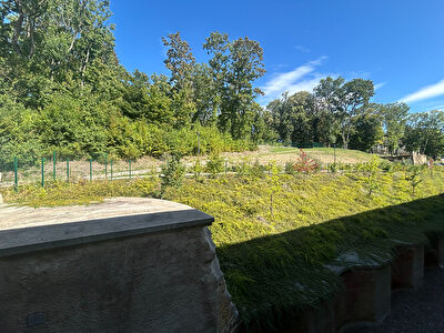 Appartement Metz 1 pièce(s)