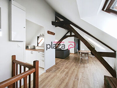 Appartement Nogent Sur Vernisson 2 pièce(s) 45 m2