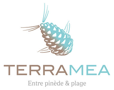 Appartement neuf T3 à Saint Pierre La Mer