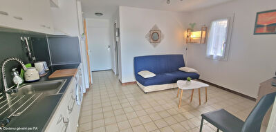 Appartement Saint Pierre La Mer vue mer