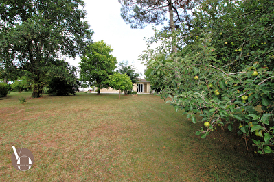 Maison et dépendances - Avensan 171 m²