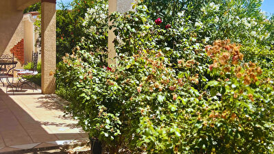 Maison  de plain-pied - 5 chambres - Terrain 890m² - Mondonville