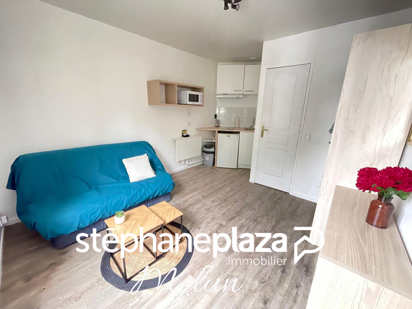 Photo du bien : Appartement 1 pièce 13.69 m2