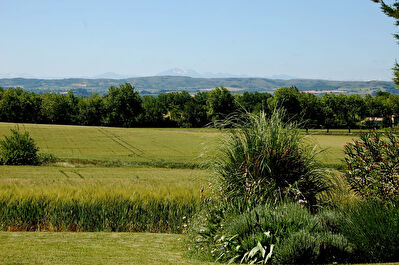 Maison Castelnaudary - 7 pièce(s) - 140 m2