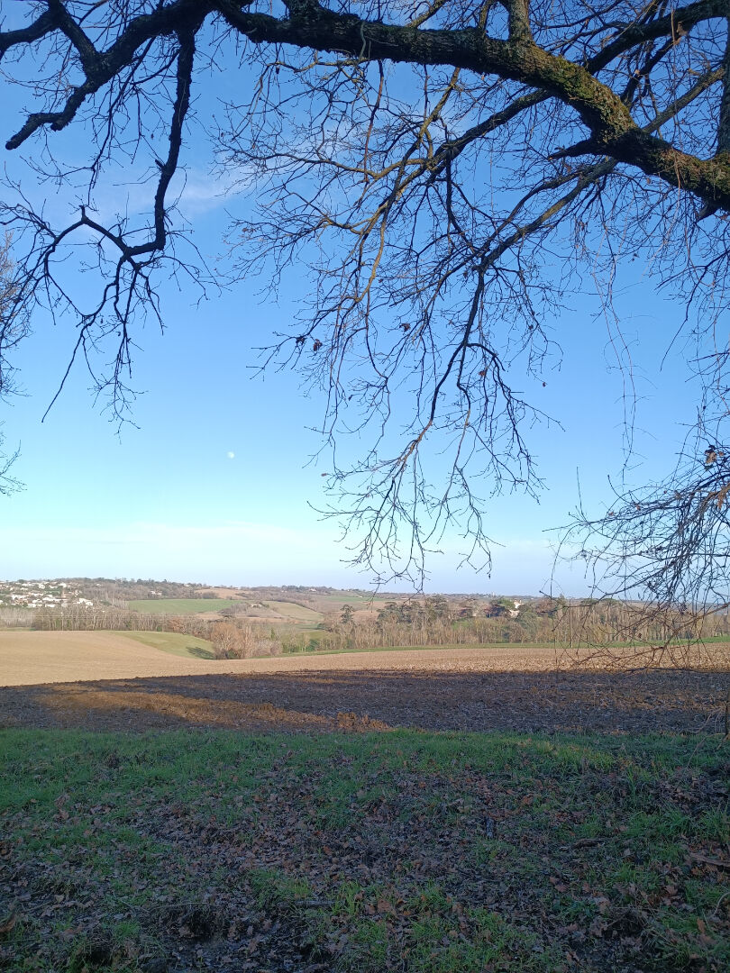 Photo du bien : Terrain 703 m2