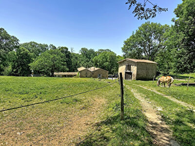 Domaine de caractère  8 pièces 228 m²  8,2 ha  Gîte + Dépendances