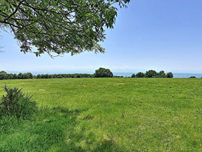 Domaine de caractère  8 pièces 228 m²  8,2 ha  Gîte + Dépendances