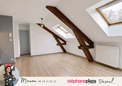 Appartement Port Sur Saone 3 pièce(s)  de plus de 40 m2