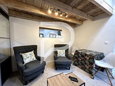 STUDIO MEUBLE AVEC MEZZANINE TERRASSE PLACE DE PARKING