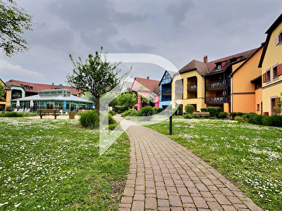 Appartement Eguisheim 2 pièce(s) 32 m2
