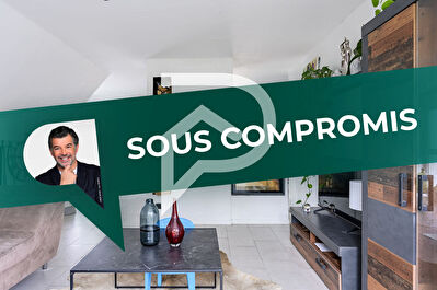Appartement Duplex Colmar 5 pièce(s) 125 m2
