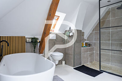 Appartement Duplex Colmar 5 pièce(s) 125 m2
