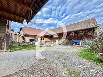 Maison Gundolsheim 7 pièce(s) 309 m2