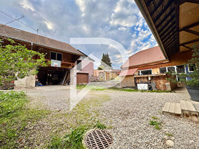 Maison Gundolsheim 7 pièce(s) 309 m2