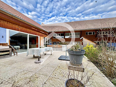 Maison Gundolsheim 7 pièce(s) 309 m2