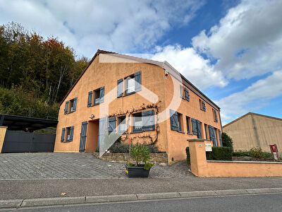 Maison Montmedy 11 pièce(s) 250 m2