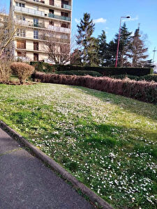Appartement Fresnes 2 pièce(s)