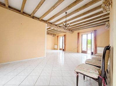 Maison Aulnay La Riviere 7 pièce(s) 220 m2