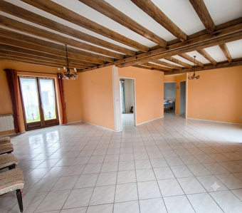 Maison Aulnay La Riviere 7 pièce(s) 220 m2