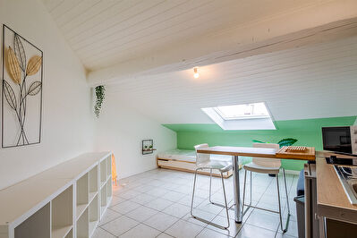 Appartement Bourg En Bresse 1 pièce(s) 21 m2