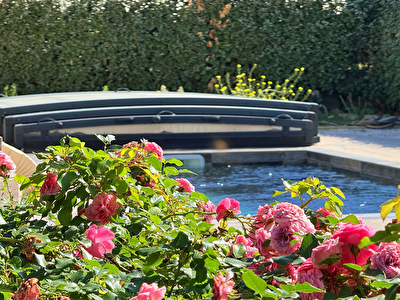 Maison contemporaine avec piscine Bouchet - 5 pièces - 116 m²