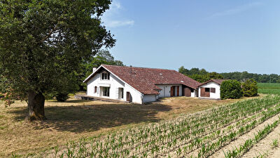 Ferme Landaise secteur Saint Vincent de Tyrosse, 7 pièces, 330 m² sur 8 661 m² de terrain.