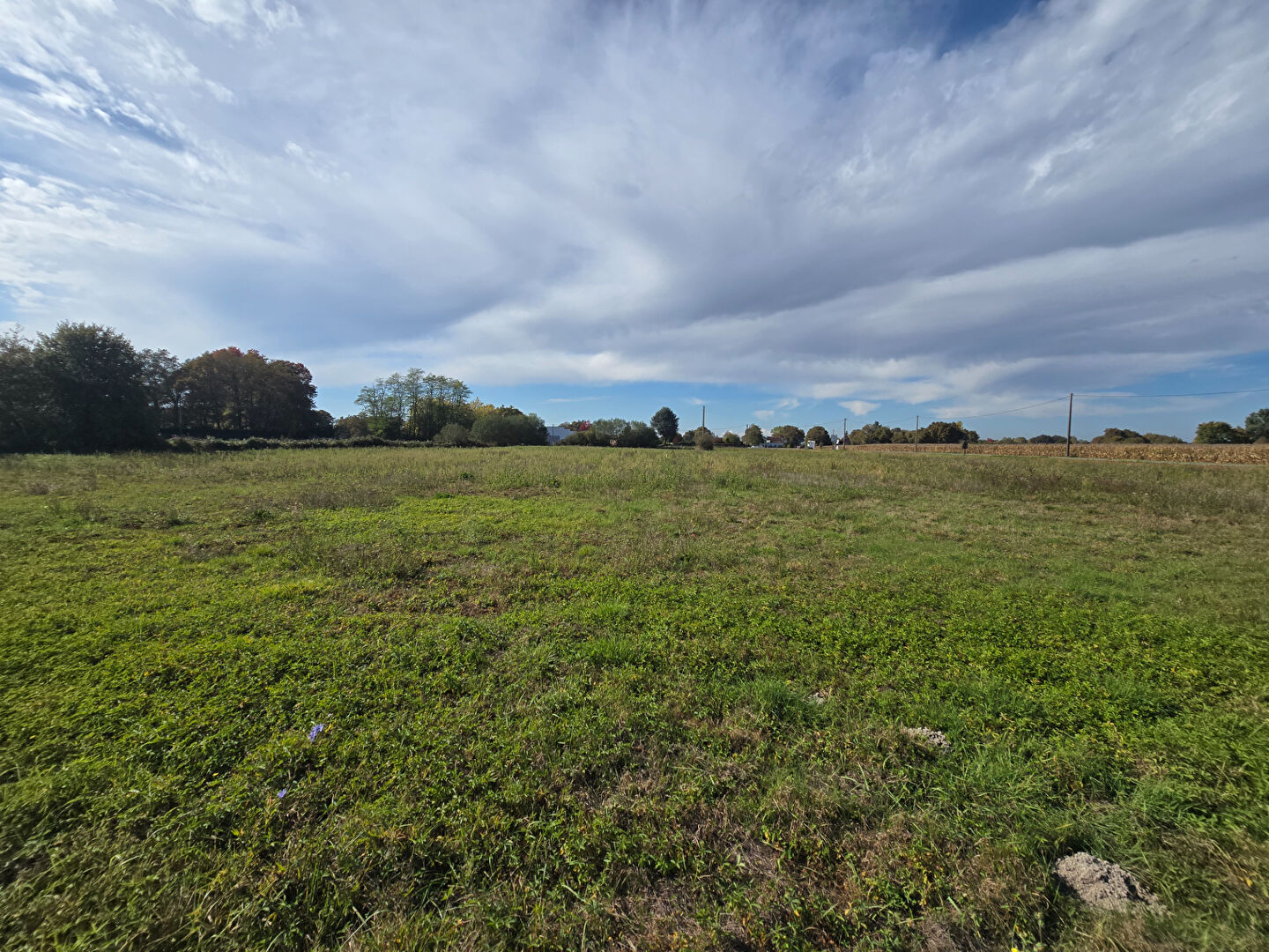 Photo du bien : Terrain 1000 m2