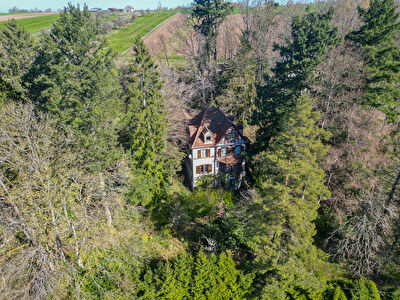 Manoir de caractère de 250 m², au coeur d'un écrin de verdure à Abreschviller