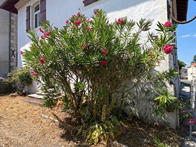 Maison de bourg, 5 pièces sur un terrain de 500 m², MIMBASTE