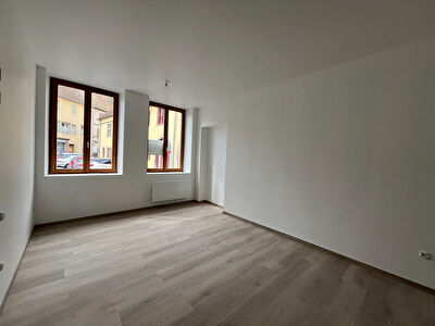 Appartement Fenetrange 1 pièce 21.7 m²