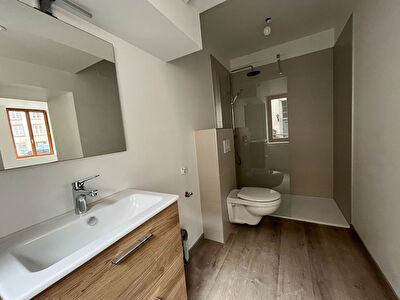 Appartement Fenetrange 1 pièce 21.7 m²